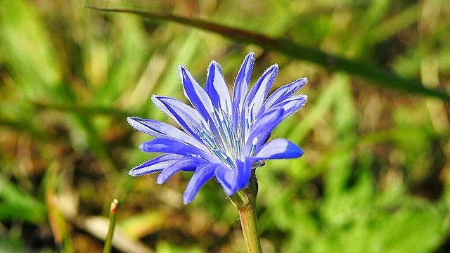 Csodálatos természet 16